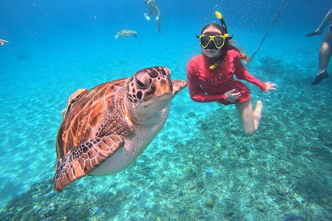 Kindvriendelijke vakantie op Curaçao