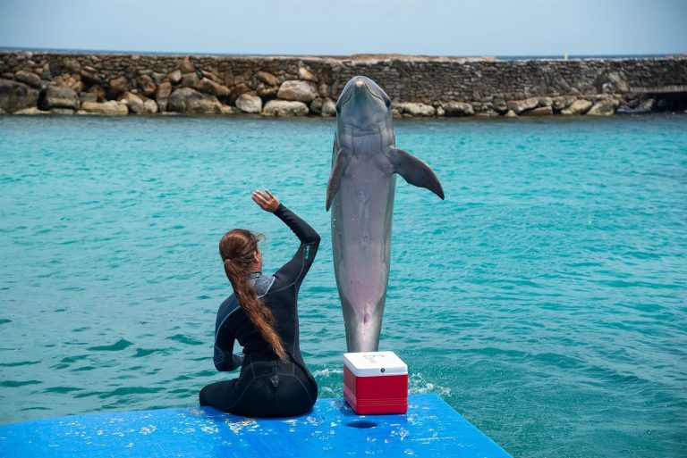 Kindvriendelijke vakantie op Curaçao
